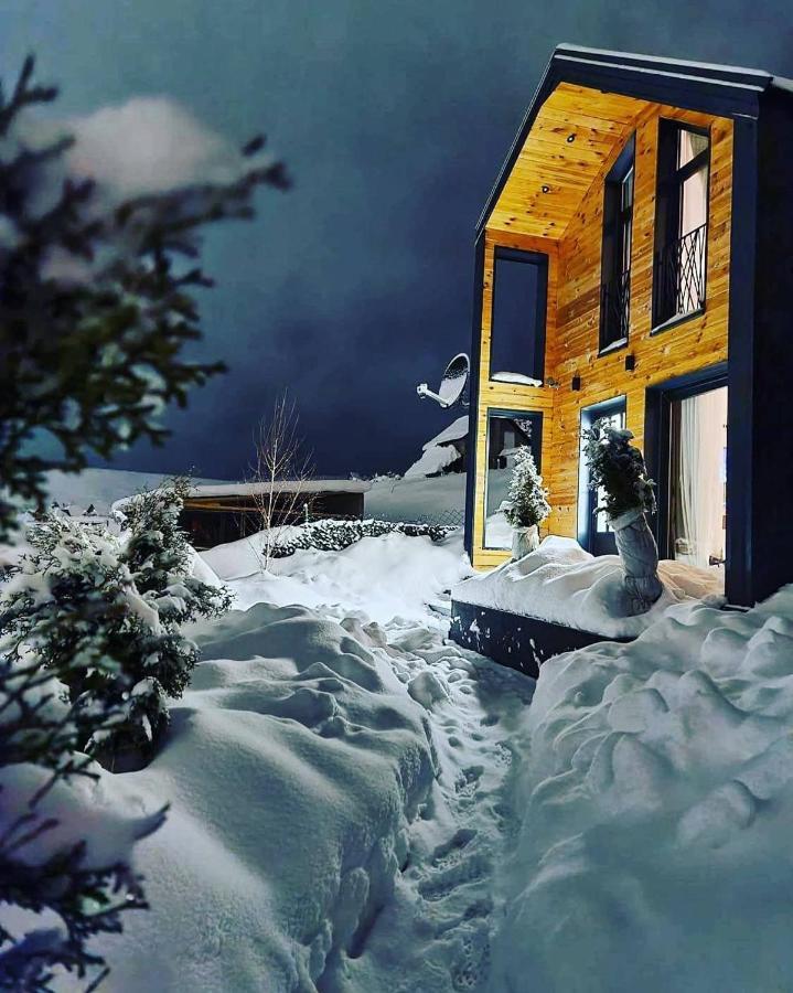 Vista Durmitor - Luxury Cabin Žabljak Esterno foto
